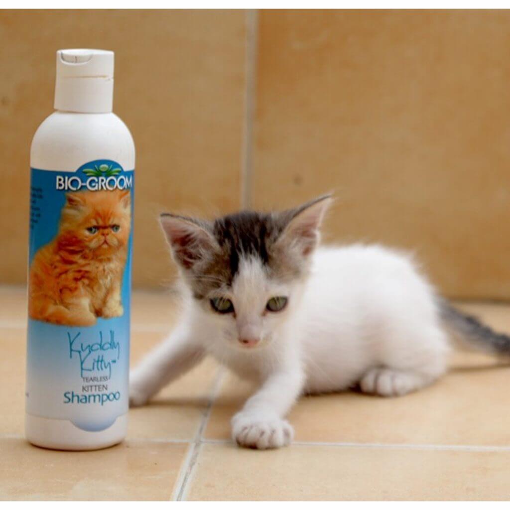 Harga Shampo Kucing Bioderm Bio Groom Kuddly Kitty Tearless Kitten