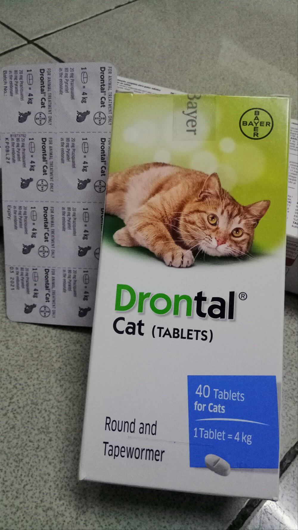 Obat Drontal Untuk Kucing