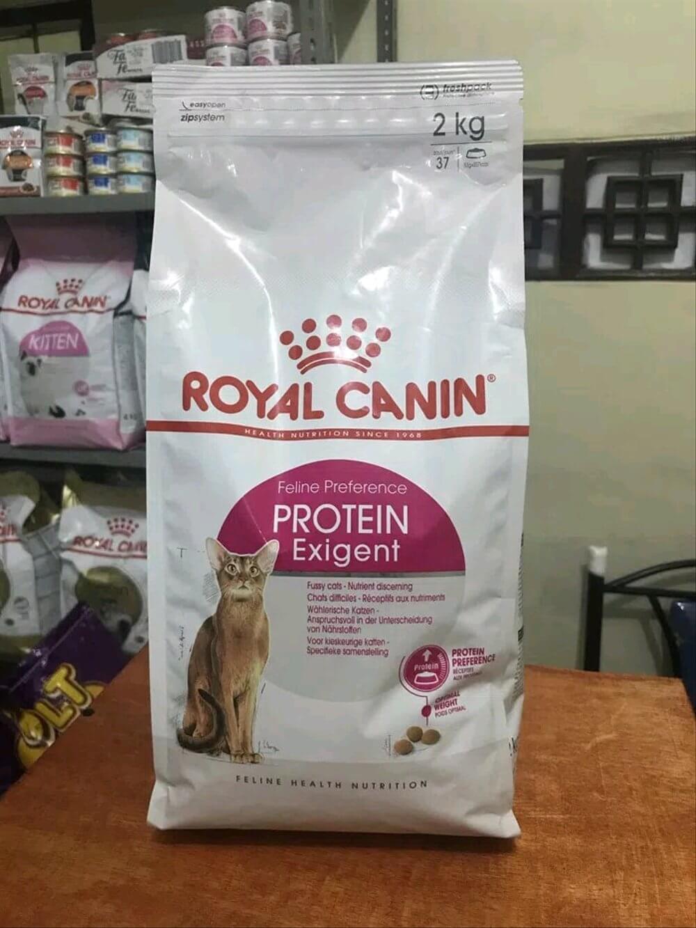 harga makanan kucing anggora royal canin