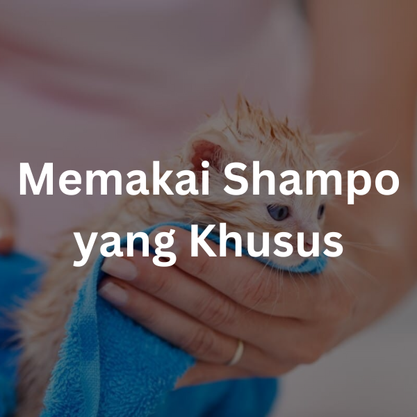 Memakai Shampo yang Khusus untuk memandikan anak kucing