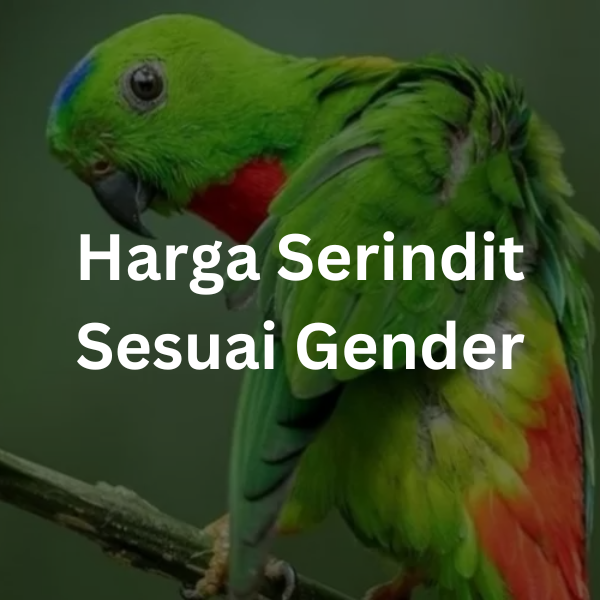 Harga Serindit Sesuai Gender