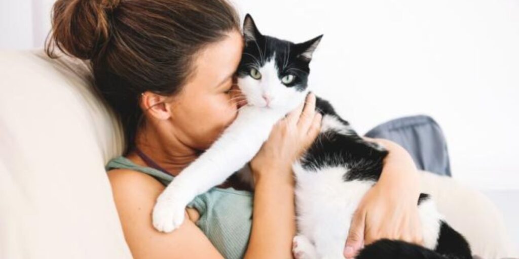 Manfaat Memelihara Kucing Untuk Membantu Membasmi Hama di Rumah
