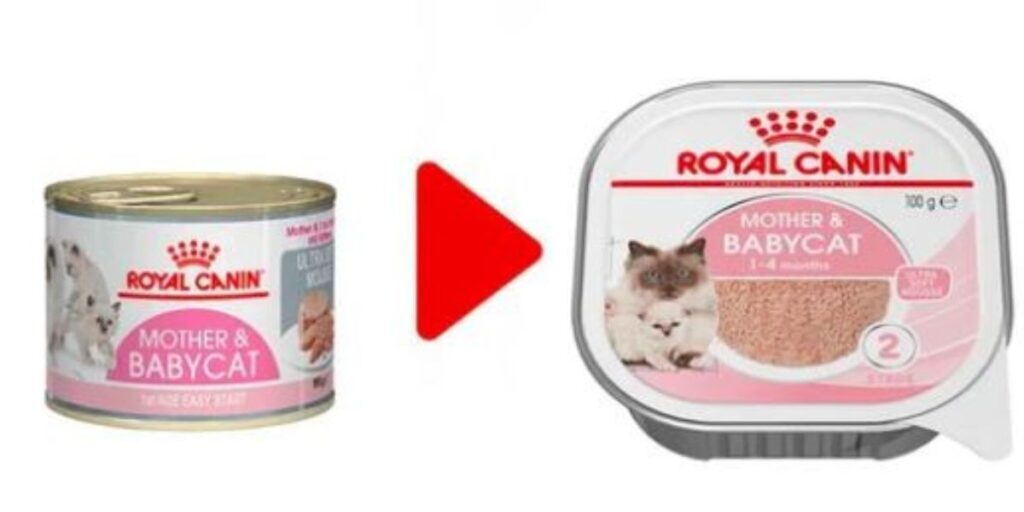 Makanan Kucing Menyusui itu Royal Canin Mother & Babycat